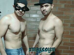 2MALEGYM