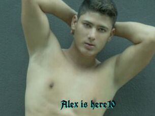 Alex_is_here10