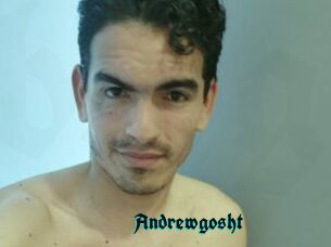 Andrewgosht