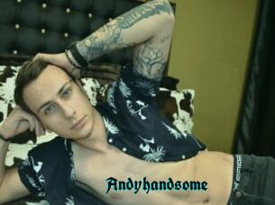 Andyhandsome