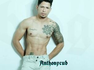 Anthonycub