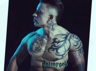 Antonygold