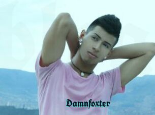 Damnfoxter