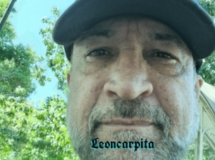 Leoncarpita