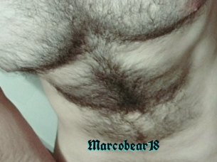 Marcobear18