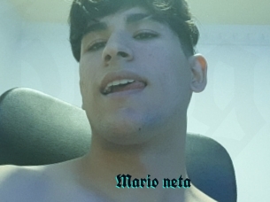 Mario_neta