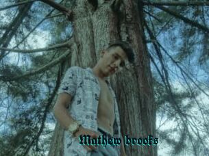 Mathew_brooks