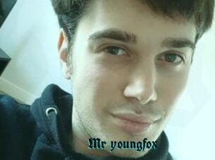 Mr_youngfox