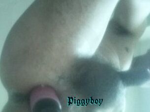 Piggyboy