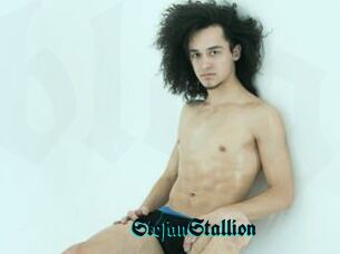 StefanStallion