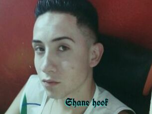 Shane_hook