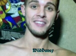 WildDavey